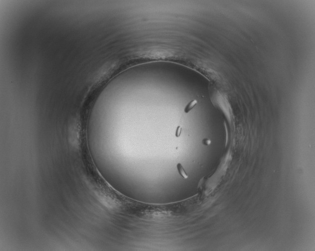 X0000070230304200606021354