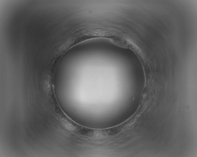 X0000070230305200606021354