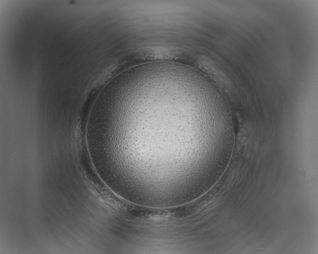 X0000070230306200606021354