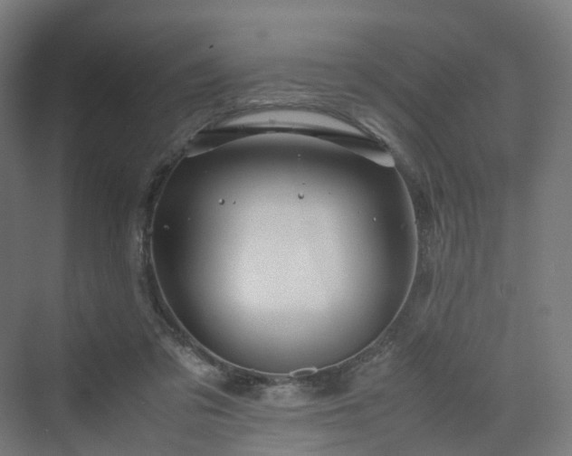 X0000070230309200606021354