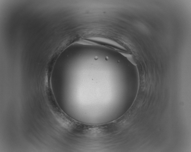 X0000070230310200606021354