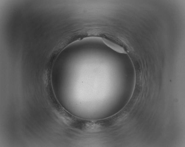 X0000070230311200606021354