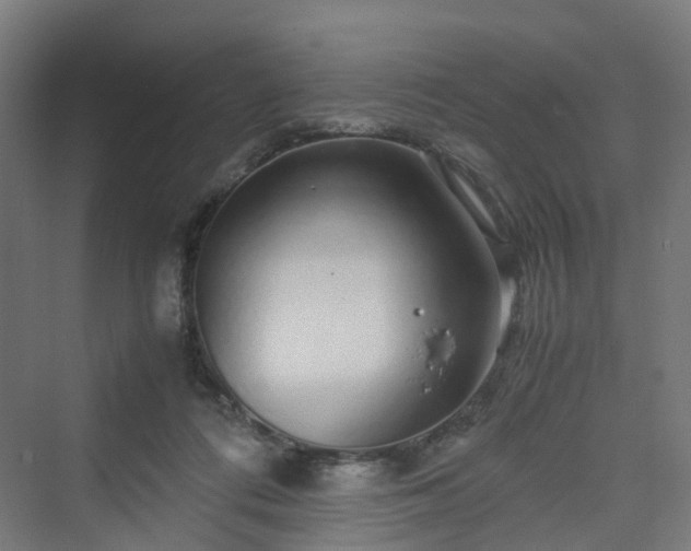 X0000070230312200606021354