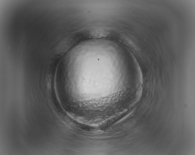 X0000070230315200606021354