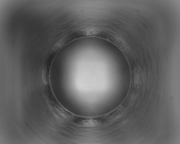 X0000070230316200606021354