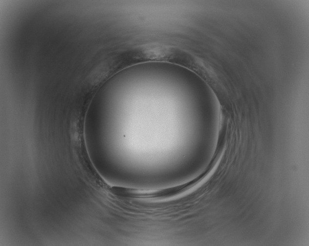 X0000070230317200606021354