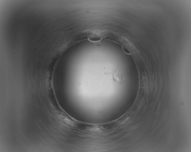 X0000070230318200606021354