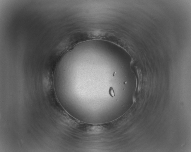 X0000070230324200606021354