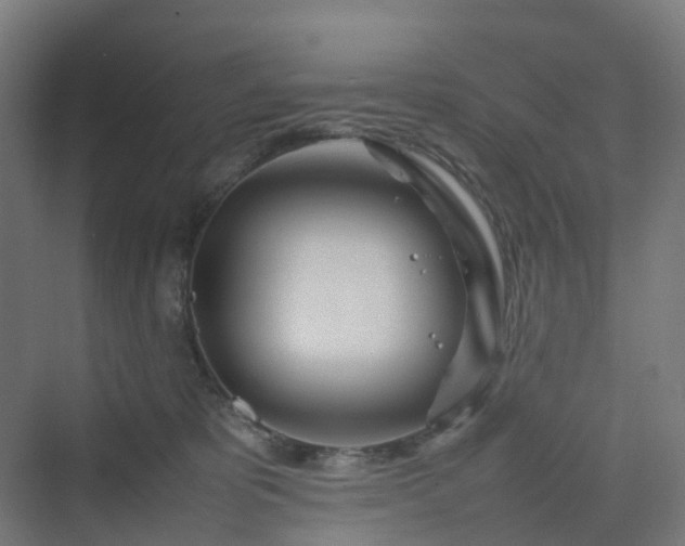 X0000070230325200606021354