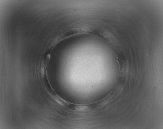 X0000070230334200606021354