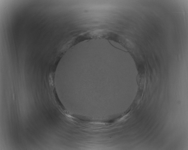 X0000070230335200606021354