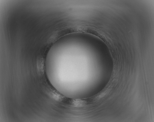 X0000070230336200606021354