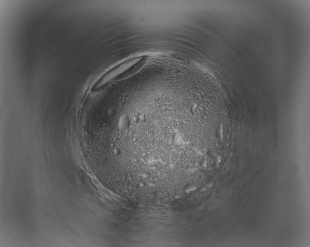 X0000070230337200606021353