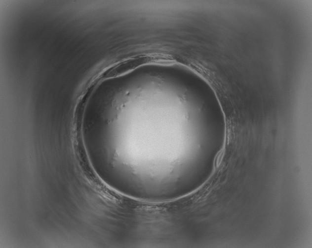 X0000070230339200606021353