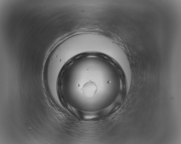 X0000070230340200606021353