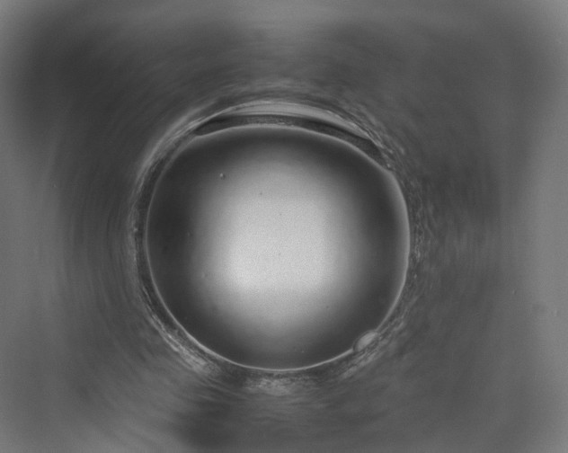 X0000070230341200606021353