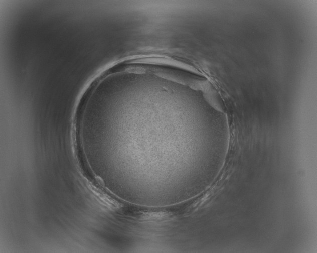 X0000070230342200606021353