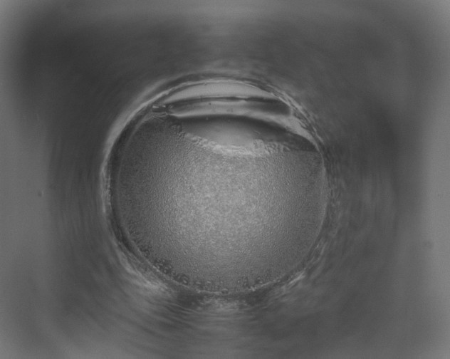 X0000070230343200606021353