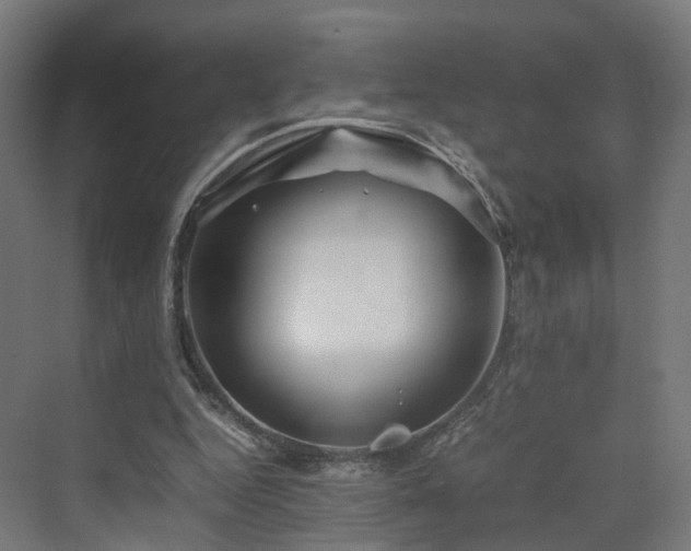 X0000070230344200606021353