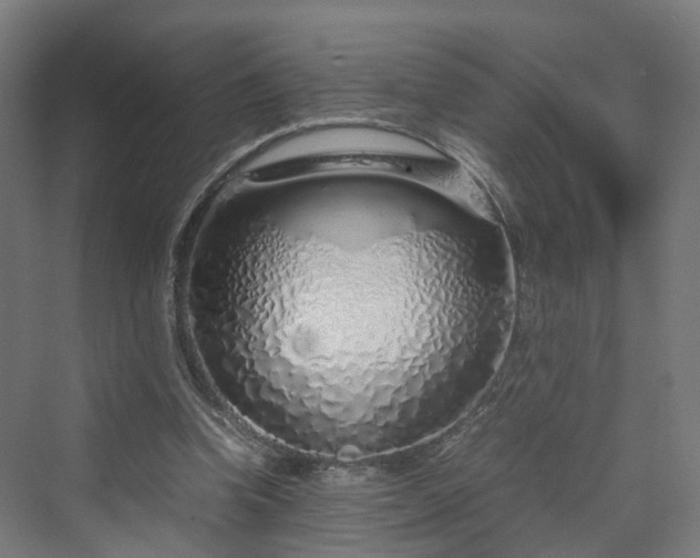 X0000070230346200606021353