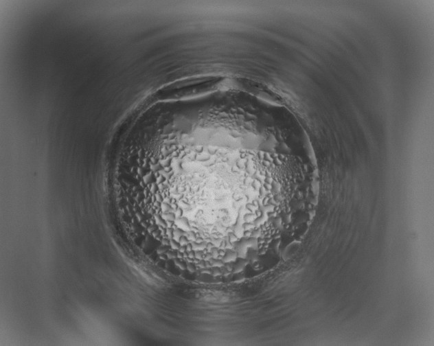 X0000070230347200606021353