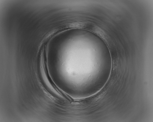 X0000070230349200606021353