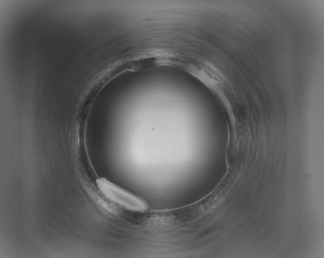 X0000070230350200606021353