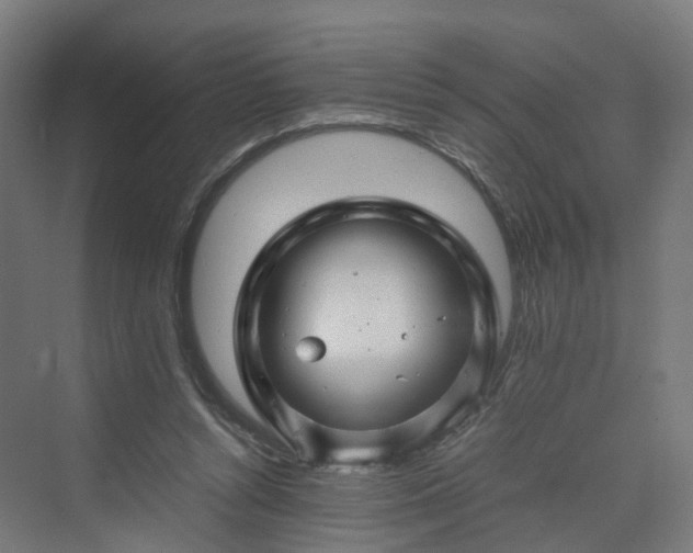 X0000070230352200606021353