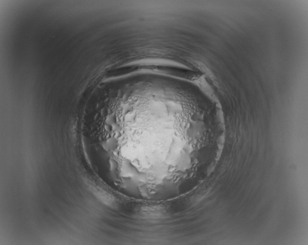 X0000070230357200606021353