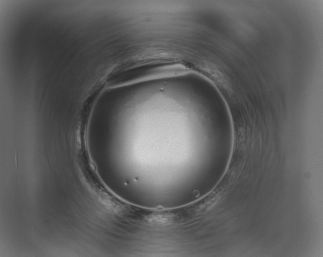 X0000070230358200606021353