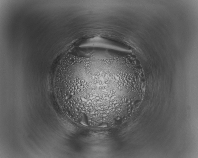 X0000070230359200606021353