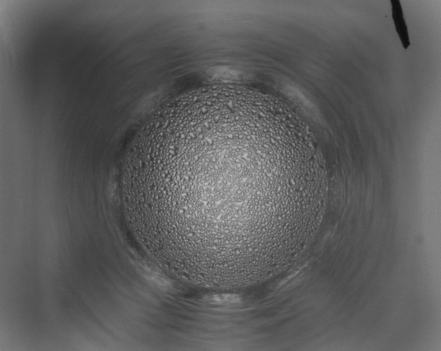 X0000070230361200606021353