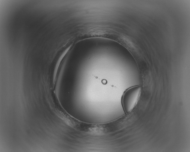 X0000070230362200606021353