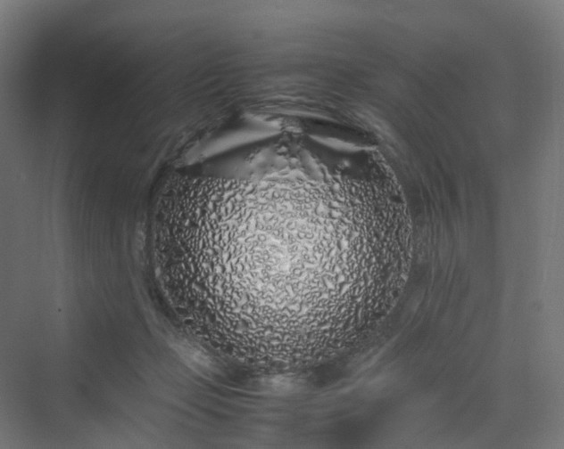 X0000070230365200606021353