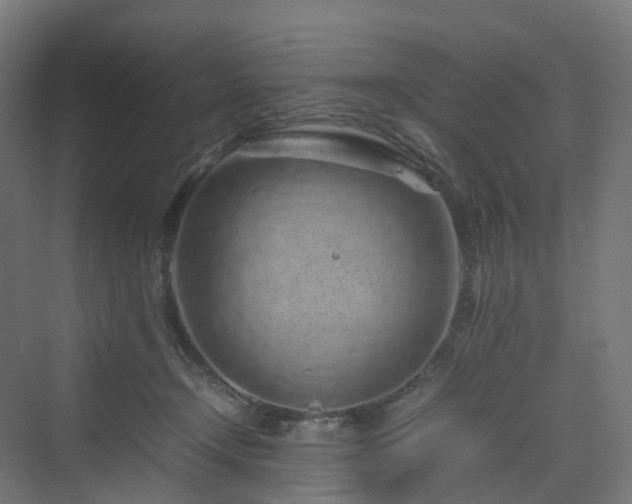 X0000070230366200606021353