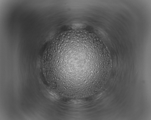 X0000070230367200606021353