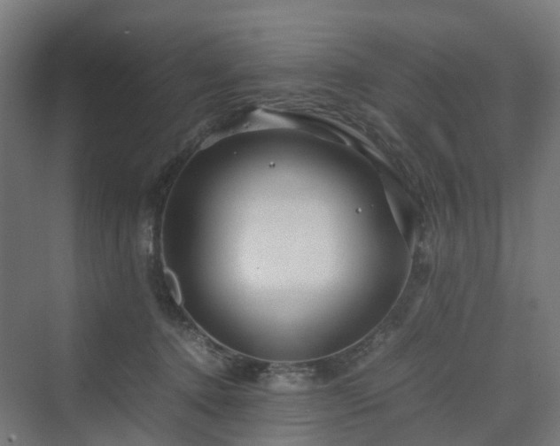 X0000070230368200606021353