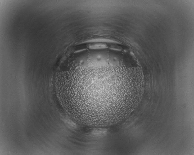 X0000070230369200606021353