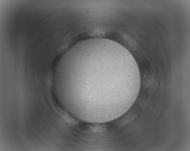 X0000070230370200606021353