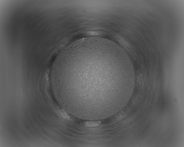 X0000070230373200606021353