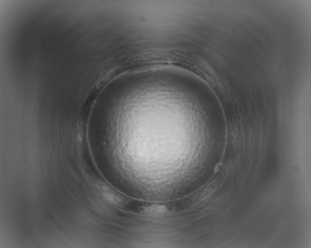 X0000070230374200606021353