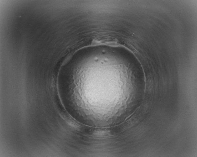 X0000070230375200606021353