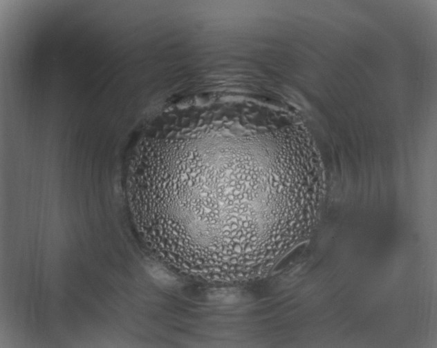 X0000070230377200606021353