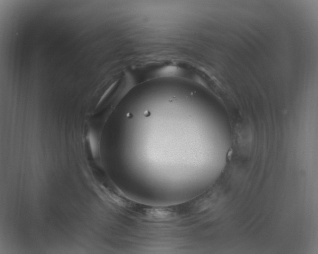 X0000070230380200606021353