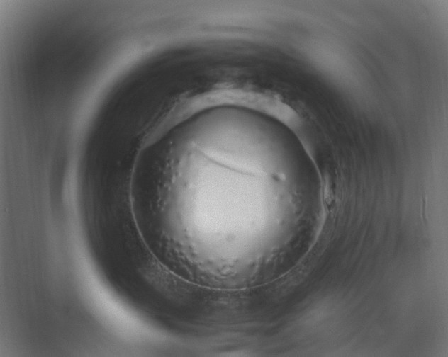 X0000070230383200606021353