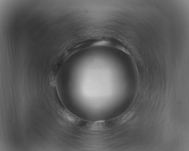 X0000070230384200606021353