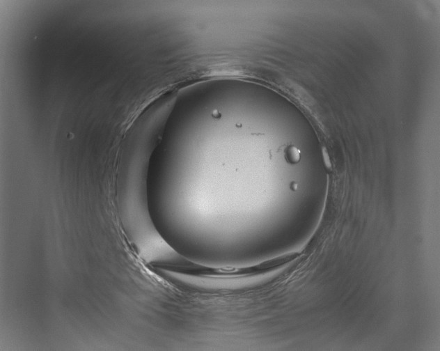 X0000070230385200606021353