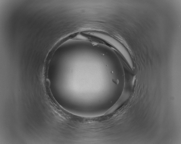 X0000070230387200606021353