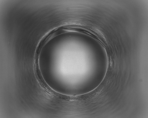 X0000070230388200606021353