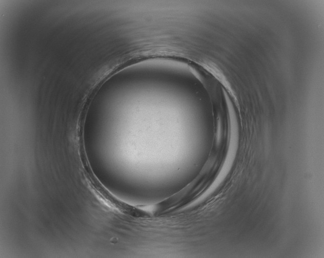 X0000070230389200606021353